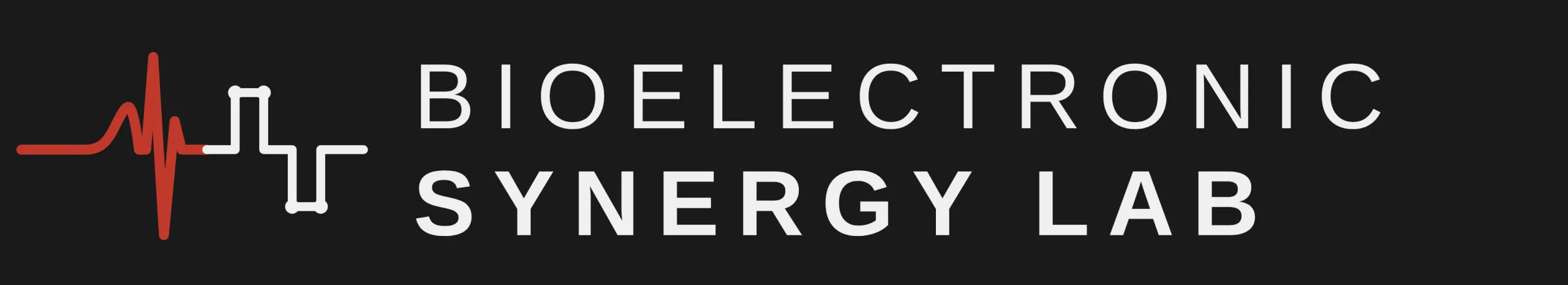 Bioelectronic Synergy Lab