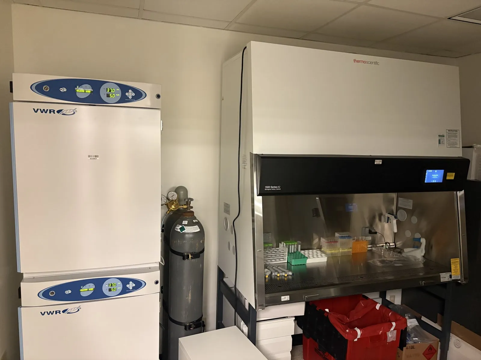 VWR CO2 incubators and a Thermo Scientific biosafety cabinet in the Bioelectronic Synergy Lab cell culture facility.