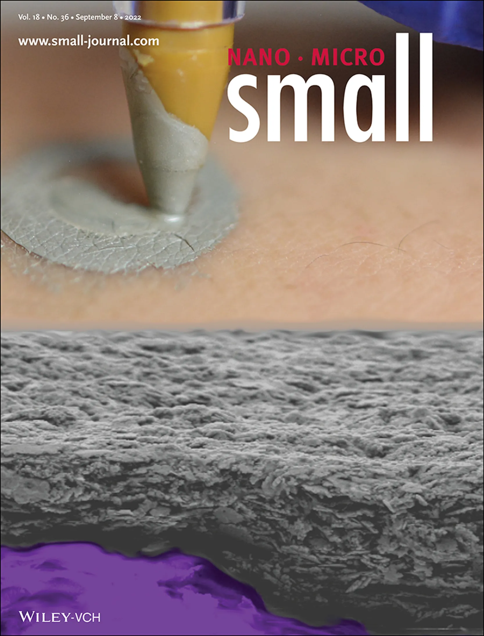Small journal cover featuring drawn-on-skin sensors