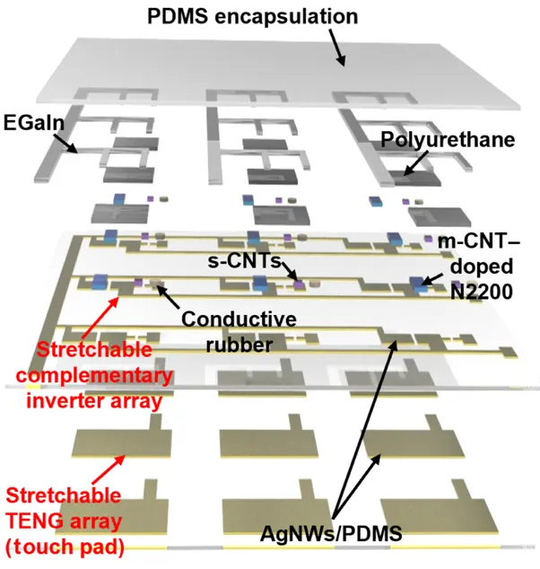 Exploded schematic of a stretchable complementary integrated device, stacking a PDMS encapsulation, EGaIn and AgNW/PDMS interconnects, a complementary inverter array of s-CNT and m-CNT-doped N2200 dual-type transistors, and a triboelectric nanogenerator touch-pad array.