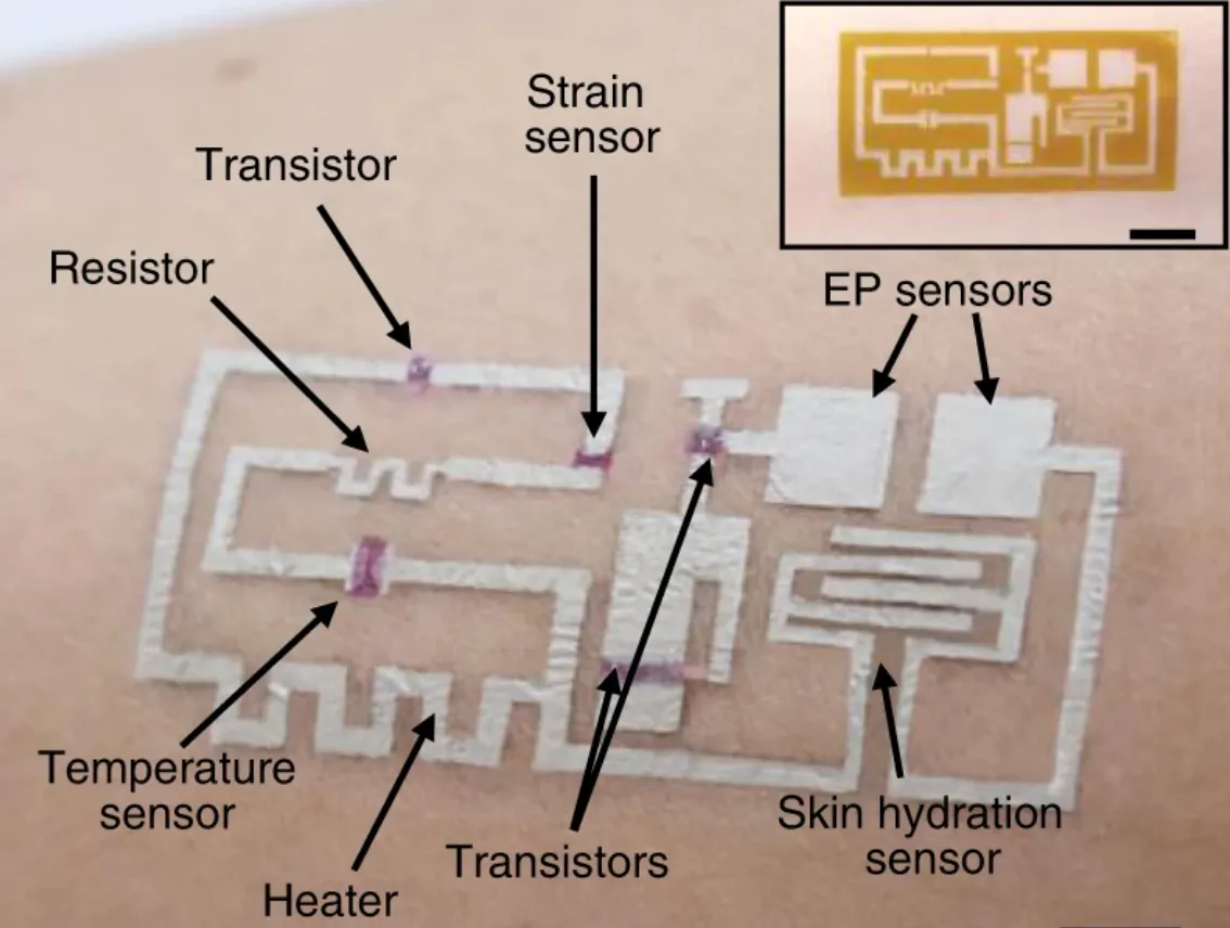 A multifunctional drawn-on-skin device on a forearm with labeled components, including transistors, a resistor, and strain, temperature, electrophysiological, and skin-hydration sensors plus a heater, alongside an inset of the fabricated circuit.