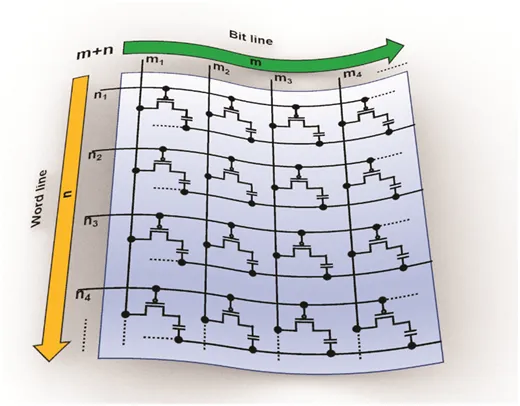 Schematic of a soft active-matrix array on a curved substrate, showing rows of transistor-and-capacitor pixel cells addressed by word lines and bit lines.