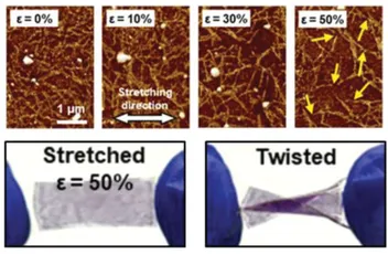 Atomic force microscopy images of the stretchable conductor’s nanowire network aligning as strain increases from 0 to 50 percent, alongside photographs of the rubbery material being stretched to 50 percent and twisted.