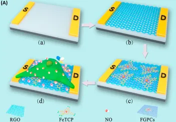 Fabrication schematic of a single-cell sensor: source and drain electrodes bridged by a reduced graphene oxide channel that is functionalized with FeTCP, with a single living cell placed on top for detection of released nitric oxide.
