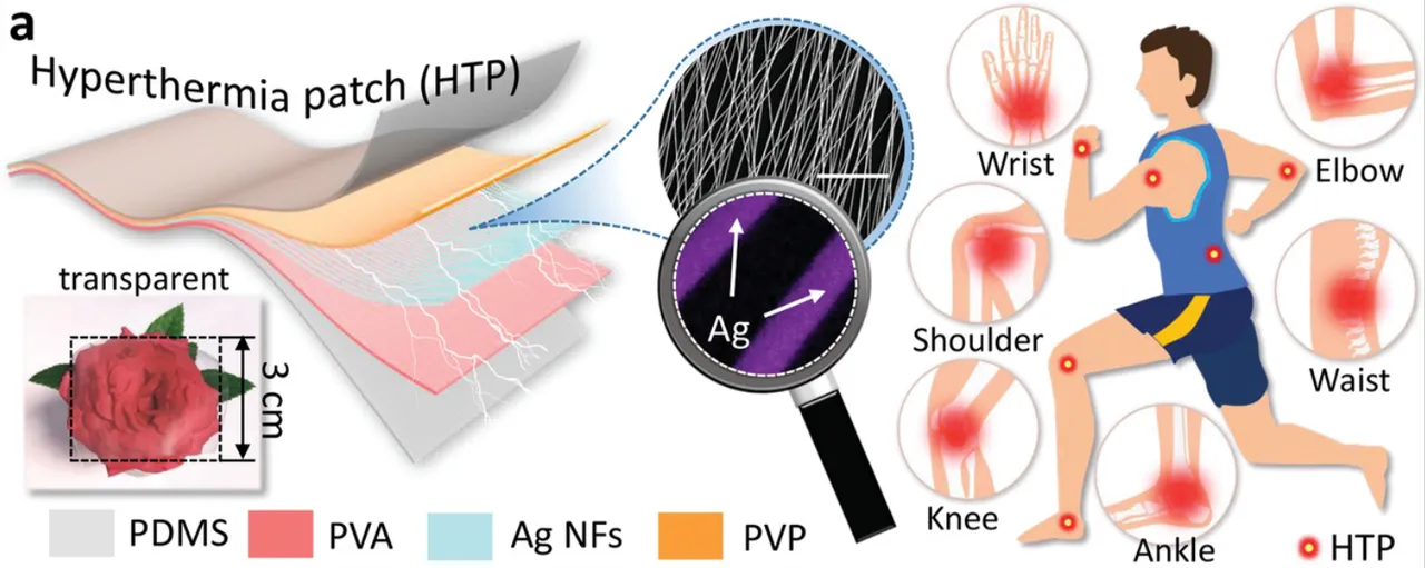 Layered schematic of a transparent skin-mountable hyperthermia patch made of PDMS, PVA, a silver nanofiber network, and PVP, with a micrograph of the silver nanofibers, a photo of the transparent patch over a rose, and a figure showing it applied to the wrist, elbow, shoulder, knee, ankle, and waist.