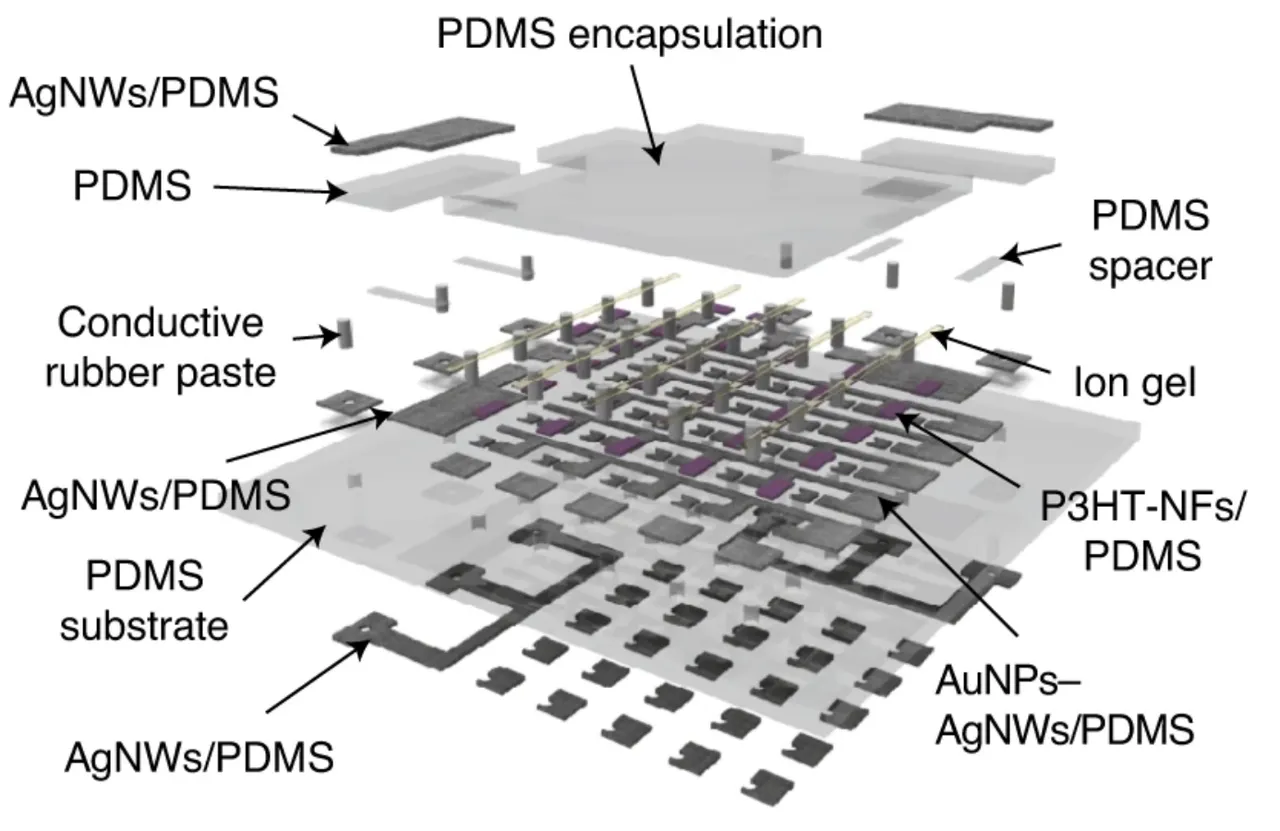 Exploded schematic of a fully rubbery epicardial bioelectronic patch, layering a PDMS substrate and encapsulation, AgNW/PDMS interconnects, ion-gel-gated P3HT-nanofiber/PDMS transistors, and AuNP–AgNW/PDMS sensing electrodes into an active-matrix mapping array.