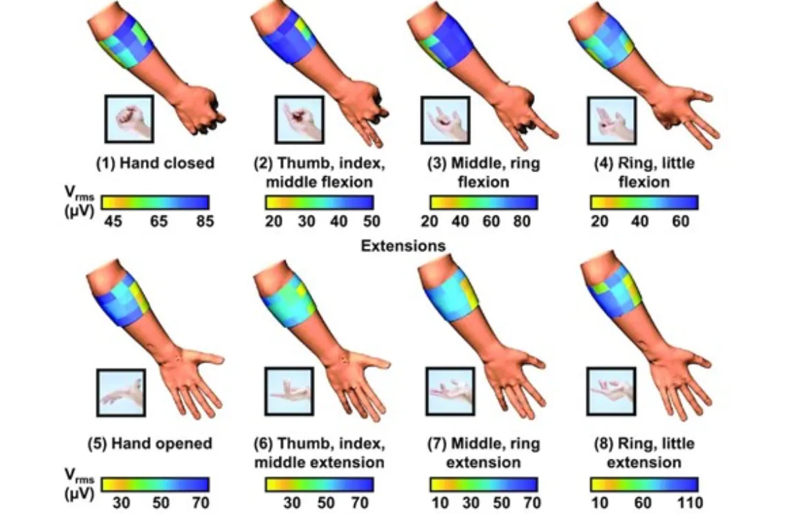 Eight forearm renderings showing color-coded high-density electromyography voltage maps from a drawn-on-skin electrode array as the hand performs different finger flexion and extension gestures.