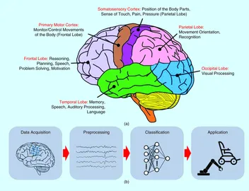Labeled diagram of the brain’s cortical regions and their functions above a brain–computer interface pipeline running from data acquisition through preprocessing and classification to application.