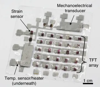 Photograph of a transparent fully rubbery epicardial bioelectronic patch with labeled components, including a thin-film-transistor array, a mechanoelectrical transducer, a strain sensor, and a temperature sensor and heater underneath.