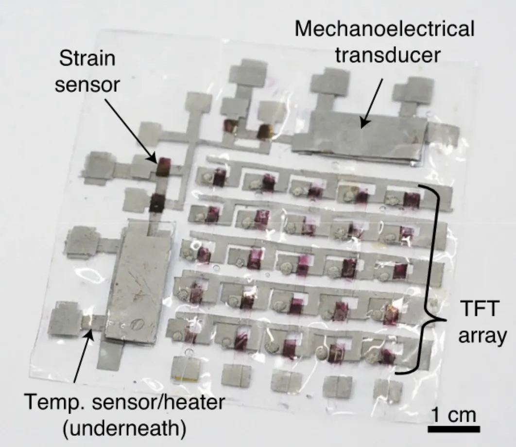 Photograph of a transparent fully rubbery epicardial bioelectronic patch with labeled components, including a thin-film-transistor array, a mechanoelectrical transducer, a strain sensor, and a temperature sensor and heater underneath.