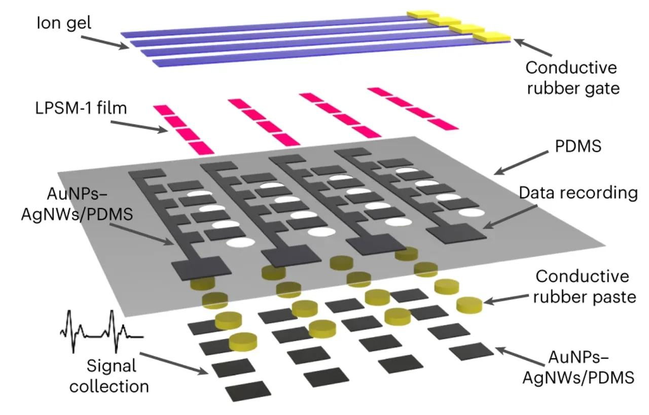 Exploded schematic of an elastic transistor array stack, with an ion-gel conductive-rubber gate, micromesh-structured LPSM-1 rubbery semiconductor films, AuNP–AgNW/PDMS electrodes, and conductive rubber paste connecting the data-recording and signal-collection layers.